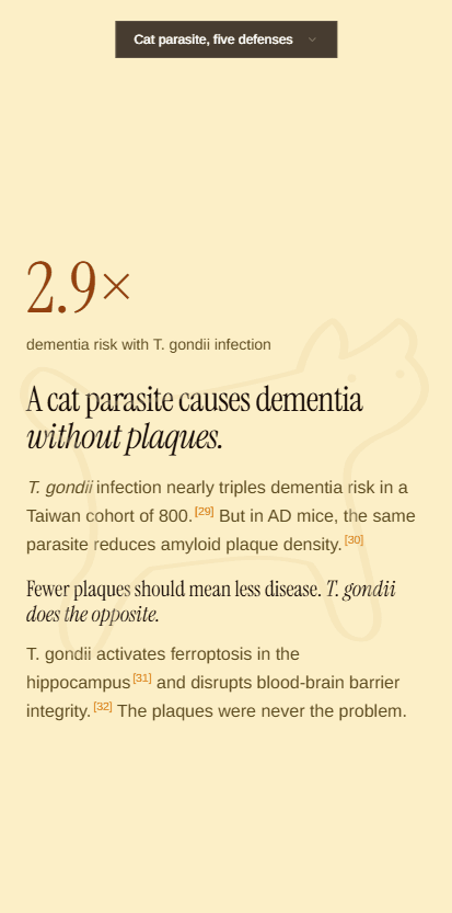 FELINES mobile presentation view — explore mode branching